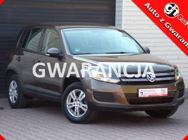 Volkswagen Tiguan I Klimatronic /Gwarancja /Asystent Parkowania /2013-1
