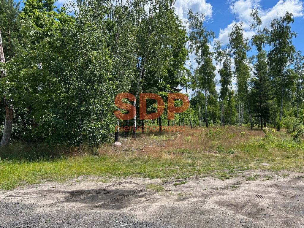 Grunt inwestycyjny 18 821 m² | 4 działki | Łódź ul. Denna | WZiZT w trakcie – pohled 3