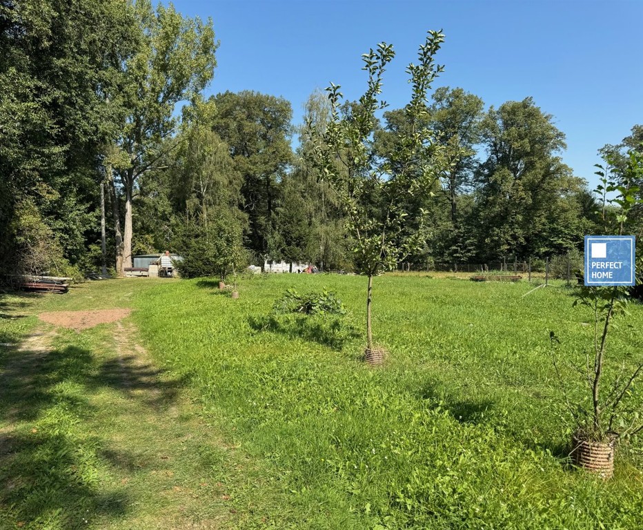 Działka na sprzedaż, 4316 m², Wałbrzych Lubiechów - Widok 4