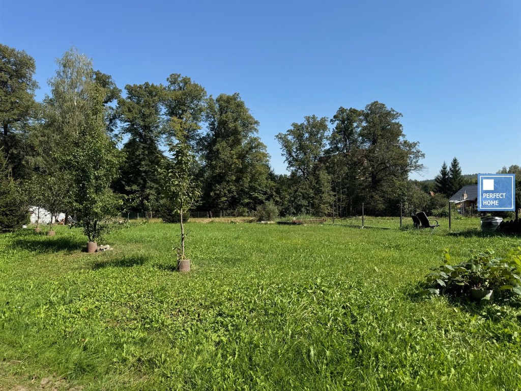 Działka na sprzedaż, 4316 m², Wałbrzych Lubiechów - Widok 6