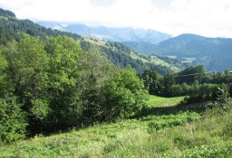 Działka inna Le Grand-Bornand