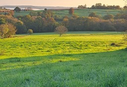 Działka inna Oueilloux