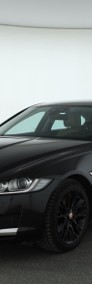 Jaguar XF X260 , 180 KM, Automat, Navi, Xenon, Bi-Xenon, Klimatronic,-3