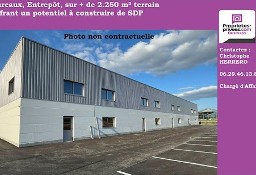 Lokal Castelnau-Le-Lez