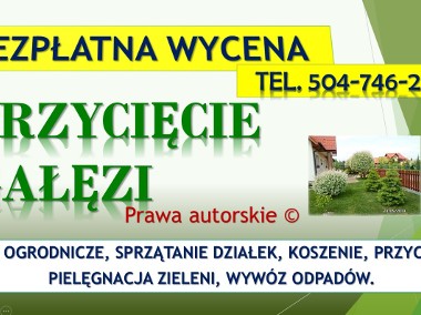 Wycięcie drzewa na działce, tel. Wrocław, Ścięcie drzewa, podcięcie gałęzi, cena-1