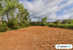 Działka inna Cherveix Cubas