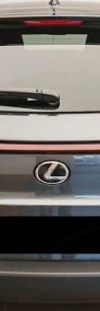Lexus UX 300h Business 2.0 Hybrid Dynamic Force 300h Business 2.0 Hybrid Dynamic-4
