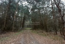 Działka leśna Dubienka