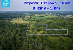 Działka siedliskowa Mierzeszyn, ul. Klonowa