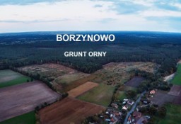 Działka rolna Borzynowo
