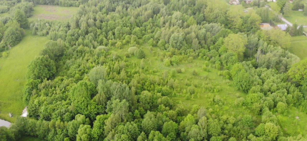 Włosań, działka rolna, 49 arów - Ansicht 4