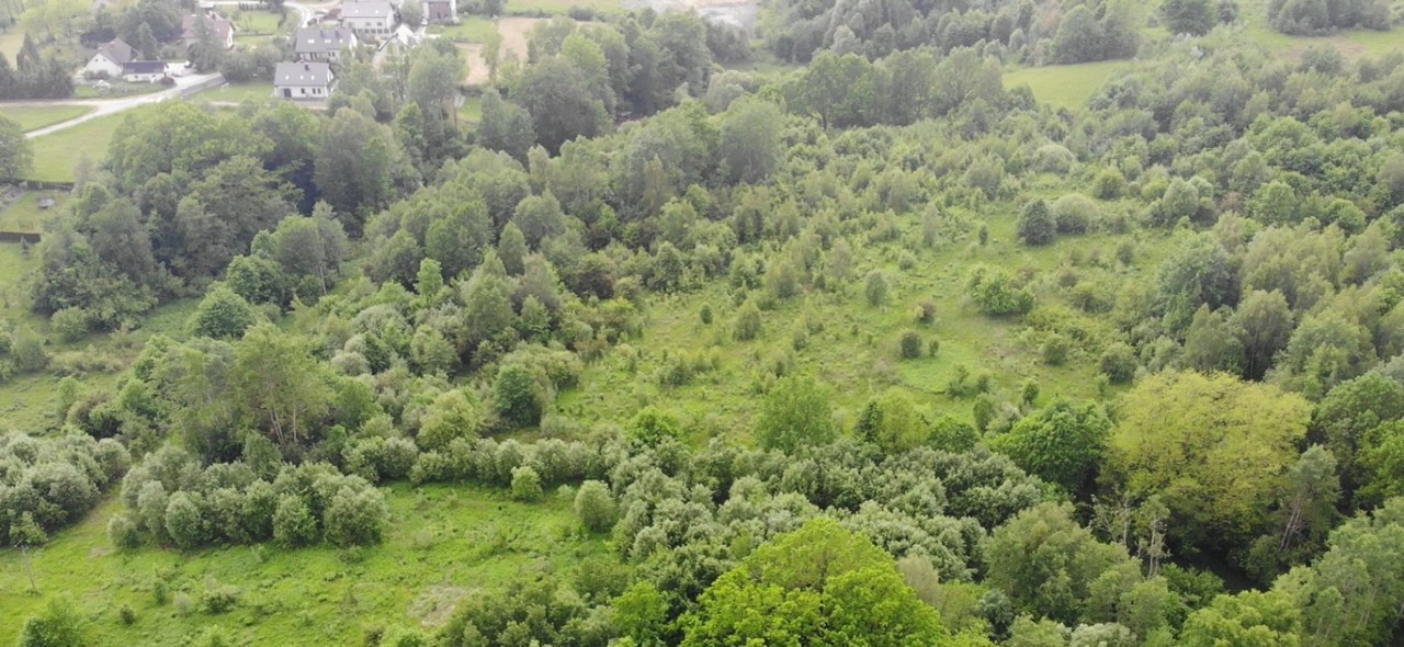 Włosań, działka rolna, 49 arów - Ansicht 6