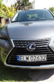 300h  Elegance AWD,  ogrz. fotele , salon Polska-2