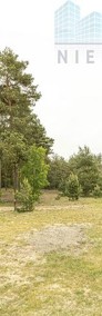 Dom z lasem - Wrąbczynek, gm. Pyzdry-4