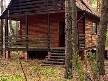 Działka w lesie z drewnianym domkiem letniskowym-1