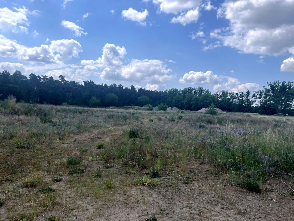 Lusówko działka 820 m² ul.Cienista - Widok 3