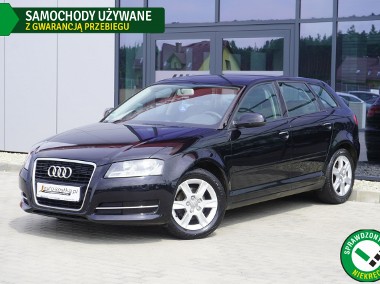 Audi A3 II (8P) 1.6 MPI! Climatronic, Grzane fotele, GWARANCJA, Bezwypadek, Zadbana!-1