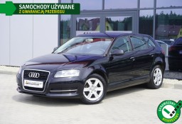 Audi A3 II (8P) 1.6 MPI! Climatronic, Grzane fotele, GWARANCJA, Bezwypadek, Zadbana!