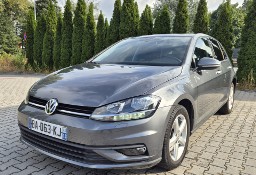 Volkswagen Golf VII pierwsza rejestracja 2019