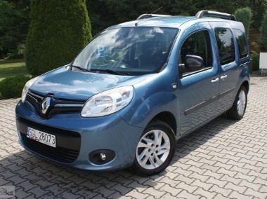 Renault Kangoo II-1