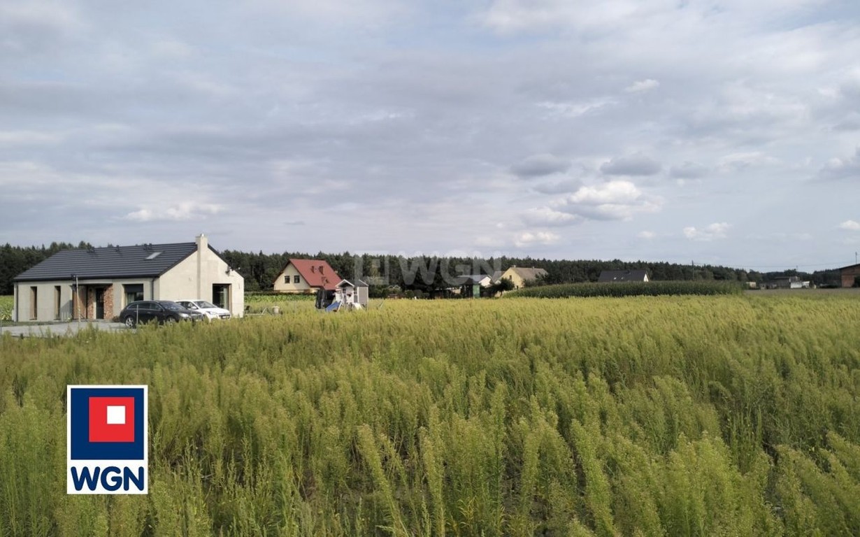 Działka na sprzedaż, 734 m², Golub-Dobrzyń Lisak, Lisakkujawsko-pomorskie