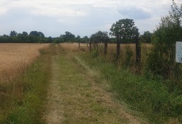 działka bud. Tarnowskie Góry Rybna Pałac ul. Kosynierów  8 arów