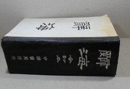 Encyklopedia w Języku Chińskim  