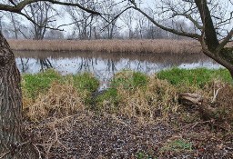 Działka budowlana Cieciszew