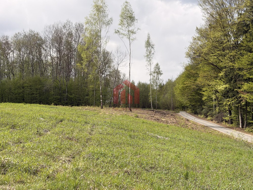 Działki budowlane 6 arów –widokowa okolica – Zagórze/Jodłowa, Piękna polska wieś - Widok 3