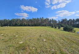 Trzy wyjątkowe działki w urokliwej lokalizacji – blisko jeziora i lasu!