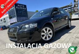 Audi A3 II (8P) ZAMIANA 183tyś/km oryginalny 1.6 z LPG