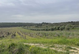 Dom Saint-Laurent-Des-Arbres