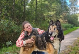 Spokojny psi senior Nanuk o dobrym zdrówku szuka domu na jesień życia :)