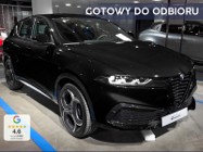 Alfa Romeo Inny Alfa Romeo IBRIDA Sport Speciale Tonale Sport Speciale