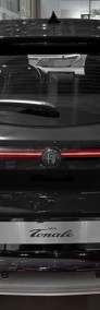 Alfa Romeo IBRIDA Sport Speciale Tonale Sport Speciale-4