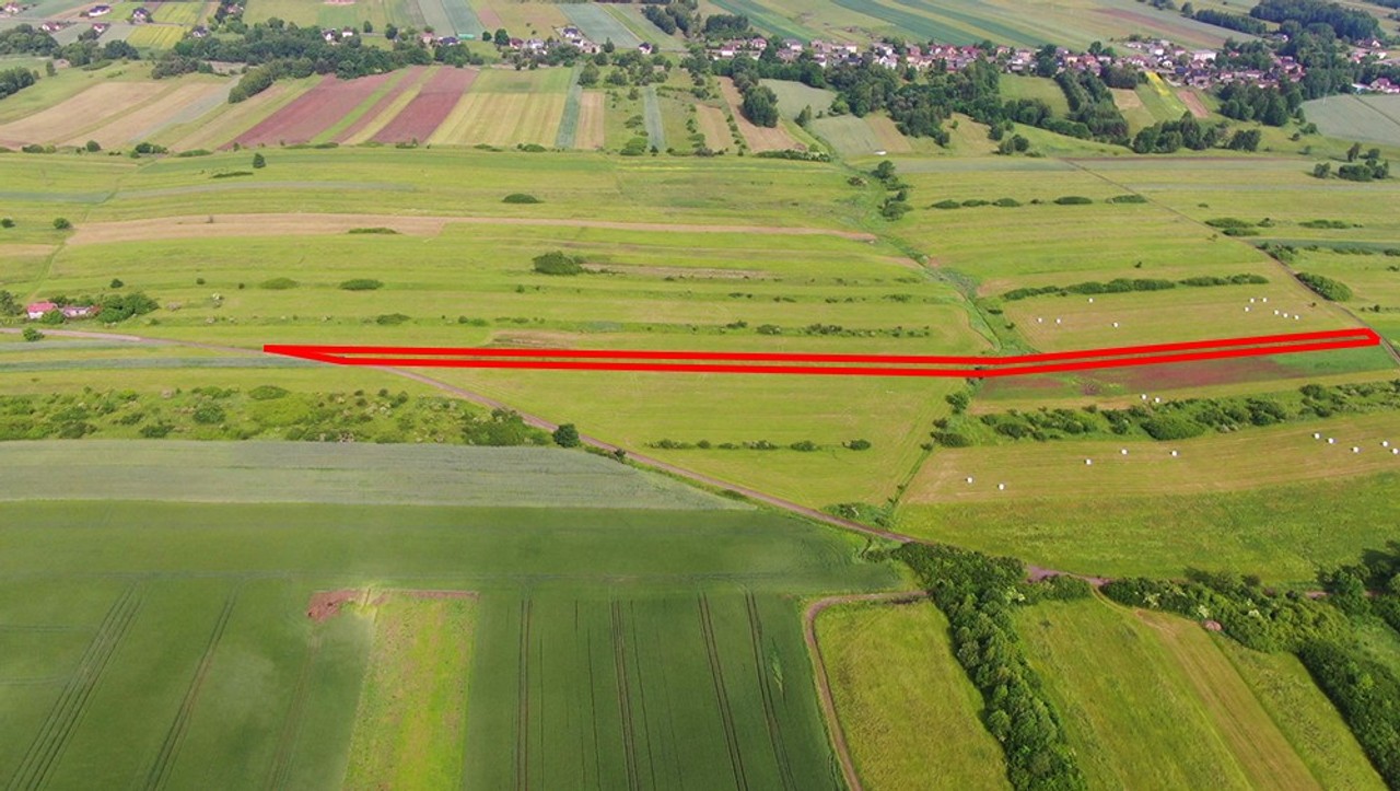 Działka rolna Poręba-Niwki - Widok 3