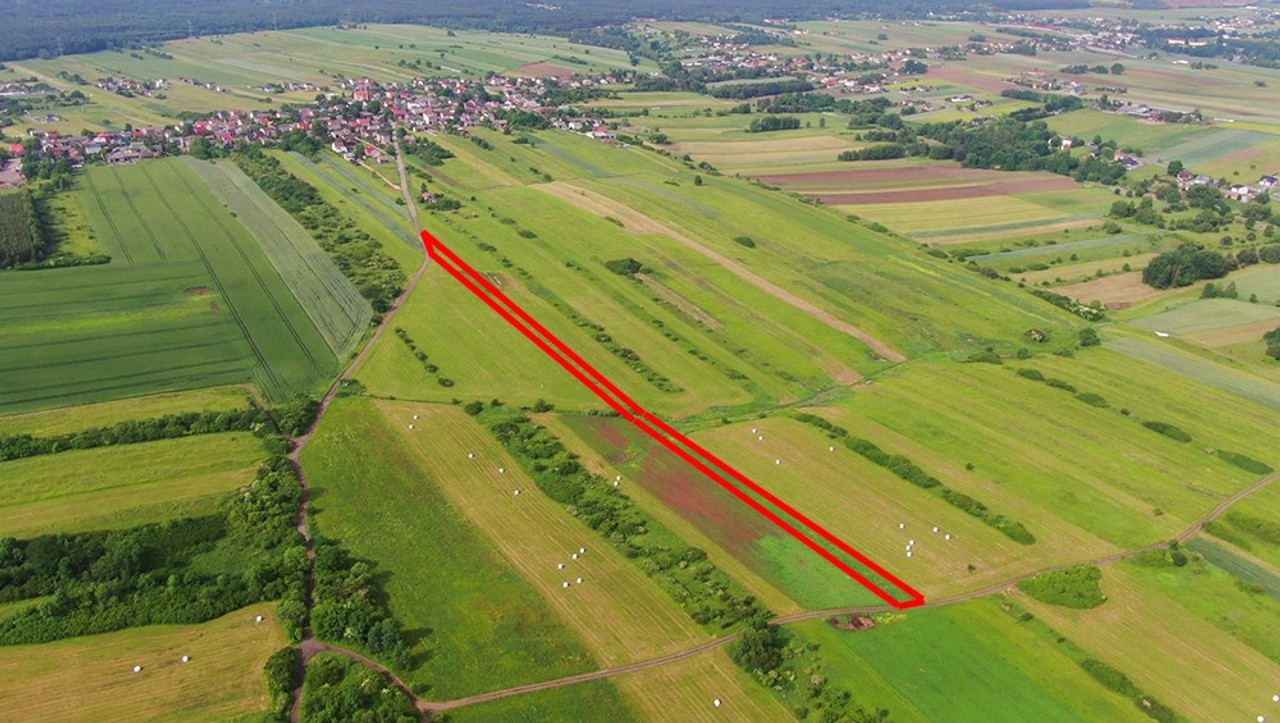 Działka rolna Poręba-Niwki - Widok 5