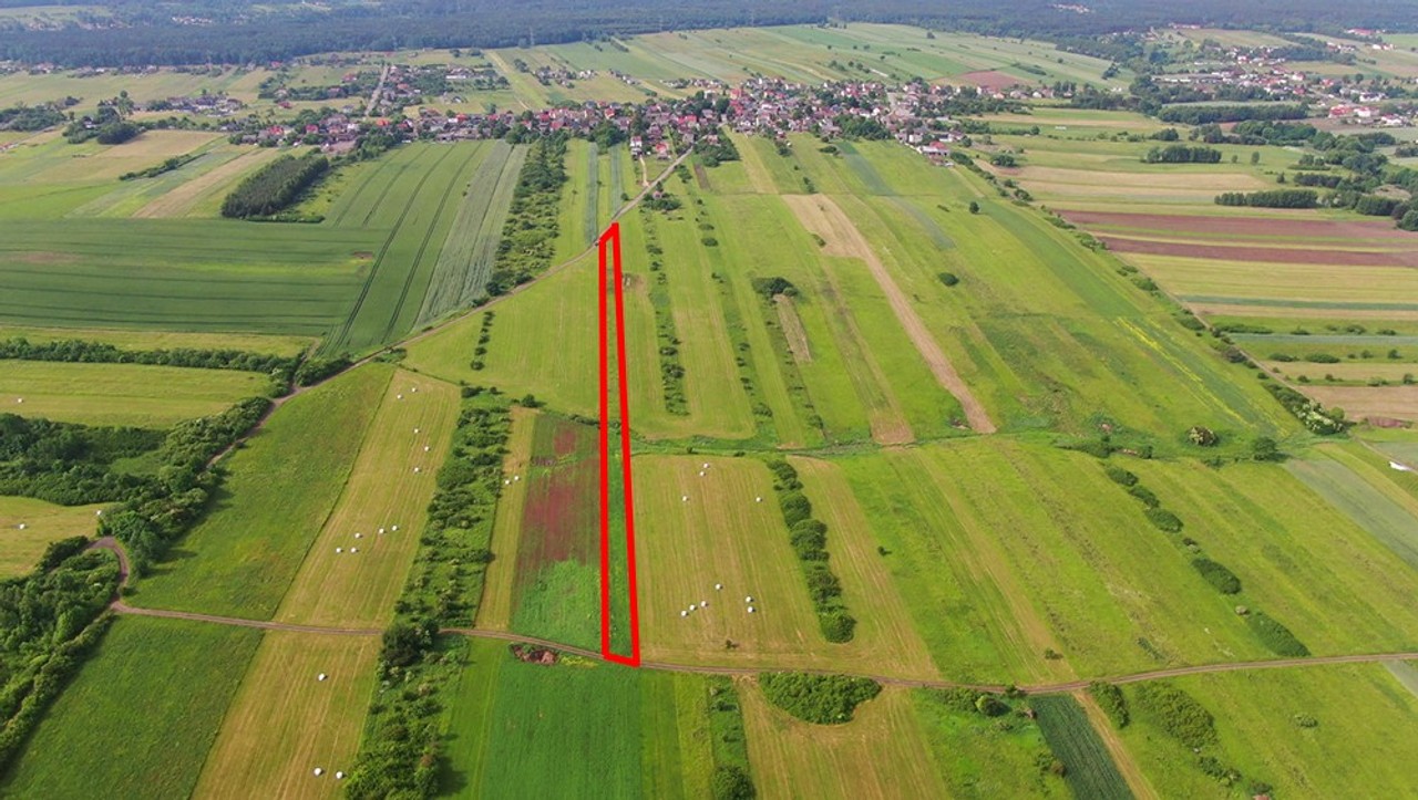 Działka rolna Poręba-Niwki - Widok 6