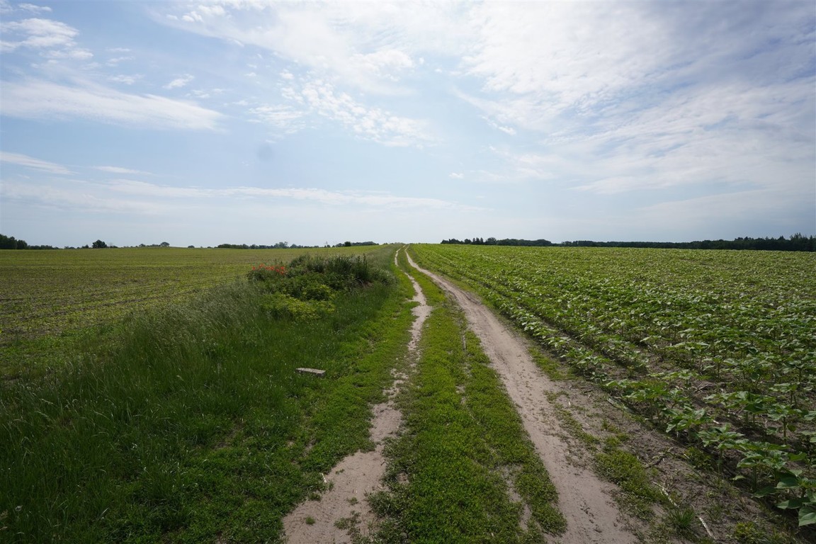 DZIAŁKA BUDOWLANA KARCZEWO - Widok 4