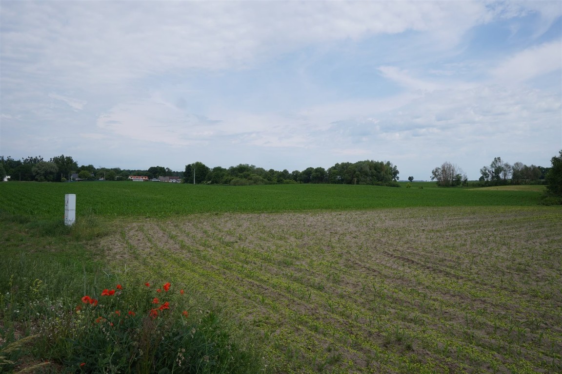 DZIAŁKA BUDOWLANA KARCZEWO - Widok 6