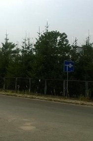 Lokal Gęsiniec, ul. Modrzewiowa-2