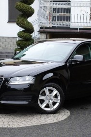 Audi A3 II (8P) Lift - Climatronic - 6 Bieg - Alu - GWARANCJA - Zakup Door To Door-2