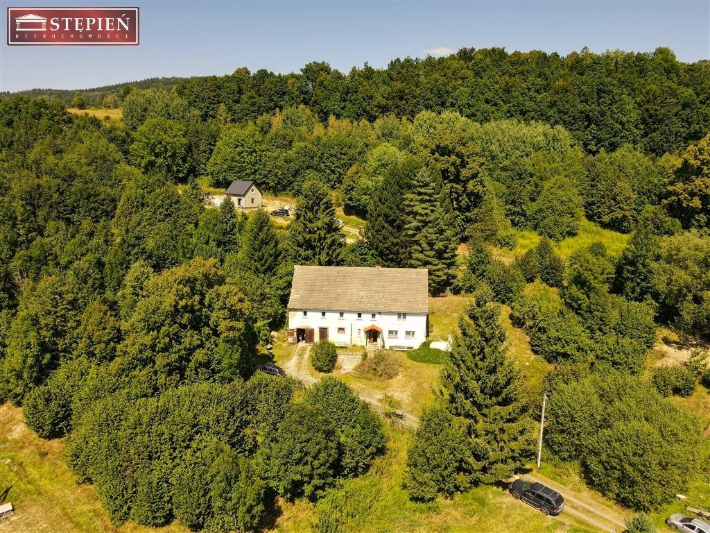 dom na sprzedaż