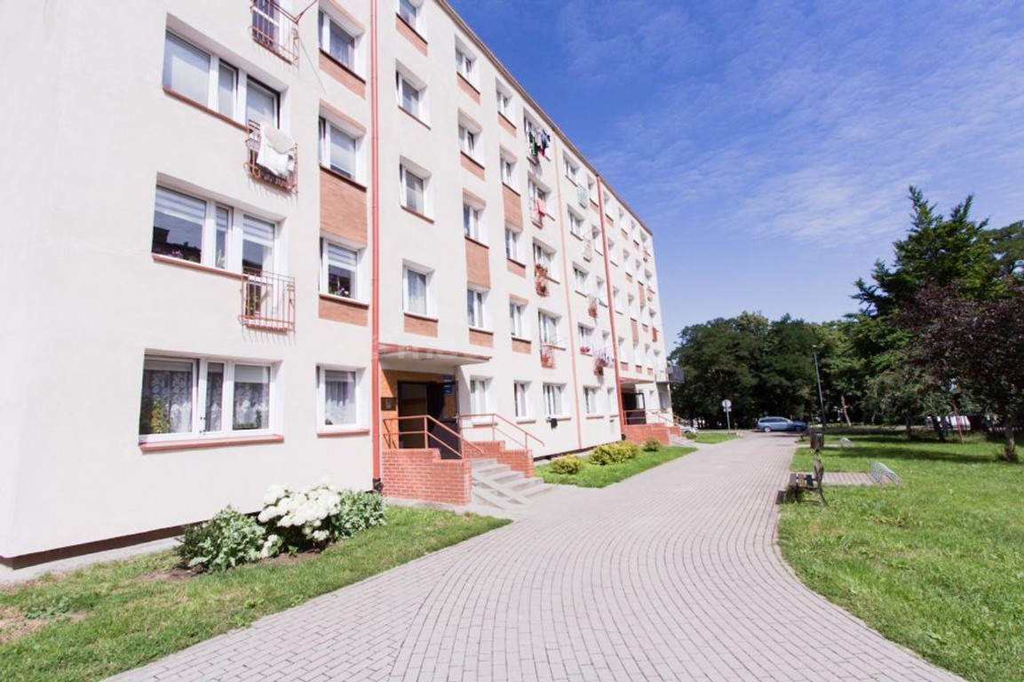 Kawalerka KOPERNIKA odświeżona NISKI CZYNSZ - More
