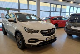 Opel Grandland X Polski Salon / 1-Właściciel