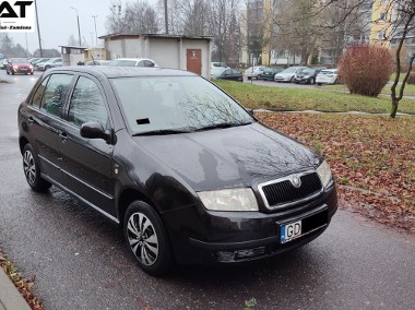 Skoda Fabia I-1