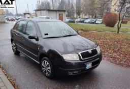 Skoda Fabia I