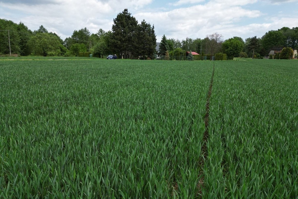 Piękna działka Kiczyce 1000 m² - Widok 3
