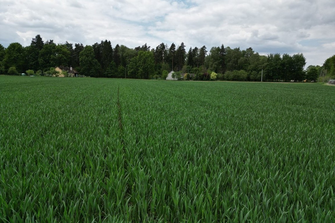 Piękna działka Kiczyce 1000 m² - Więcej