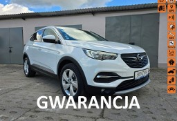 Opel Grandland X FilmPokazowy*Śliczny*Gwarancja*PełenSerwis